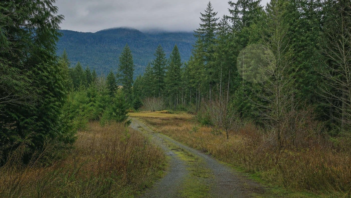 Tax on Selling Land in Washington Washington land guide
