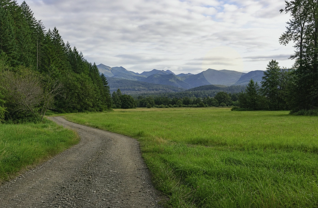 Family and closing office reviewing inherited Washington land sale documents