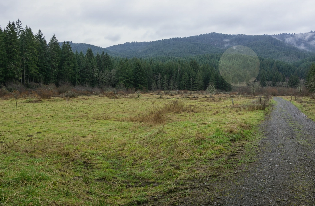 Washington land records and parcel facts for How to Sell Land Online in Washington