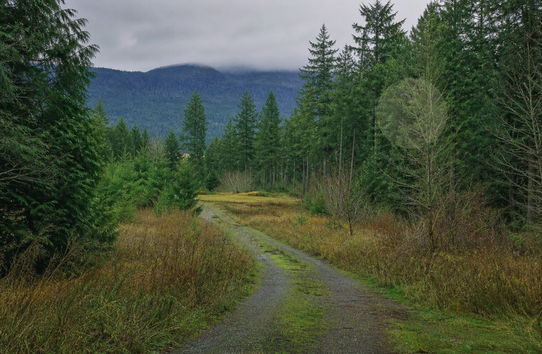 Washington land sale options and buyer review for How to Sell Land Online in Washington