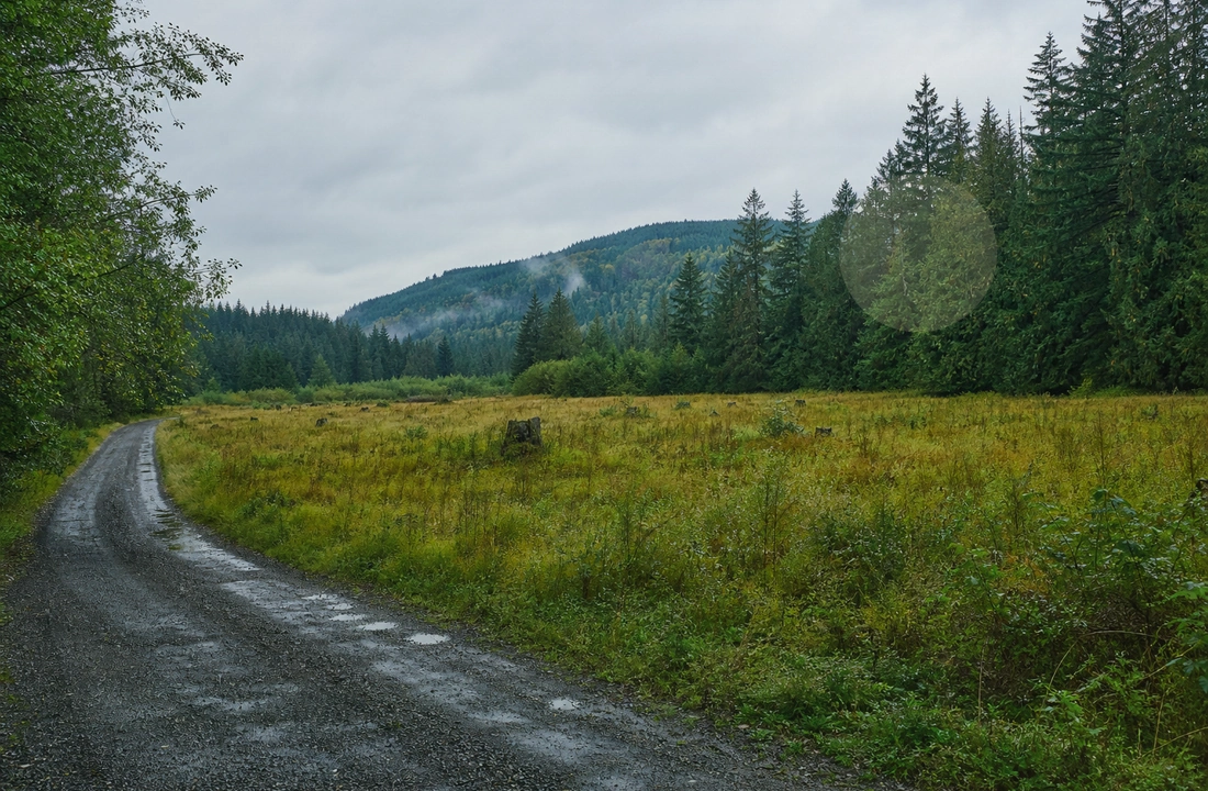Washington land sale options and buyer review for How to Sell Land Without a Realtor in Washington