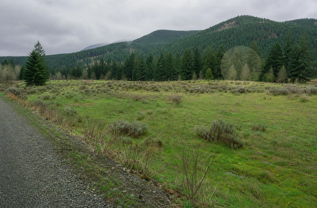 Washington title and closing preparation for How to Sell Land Without a Realtor in Washington