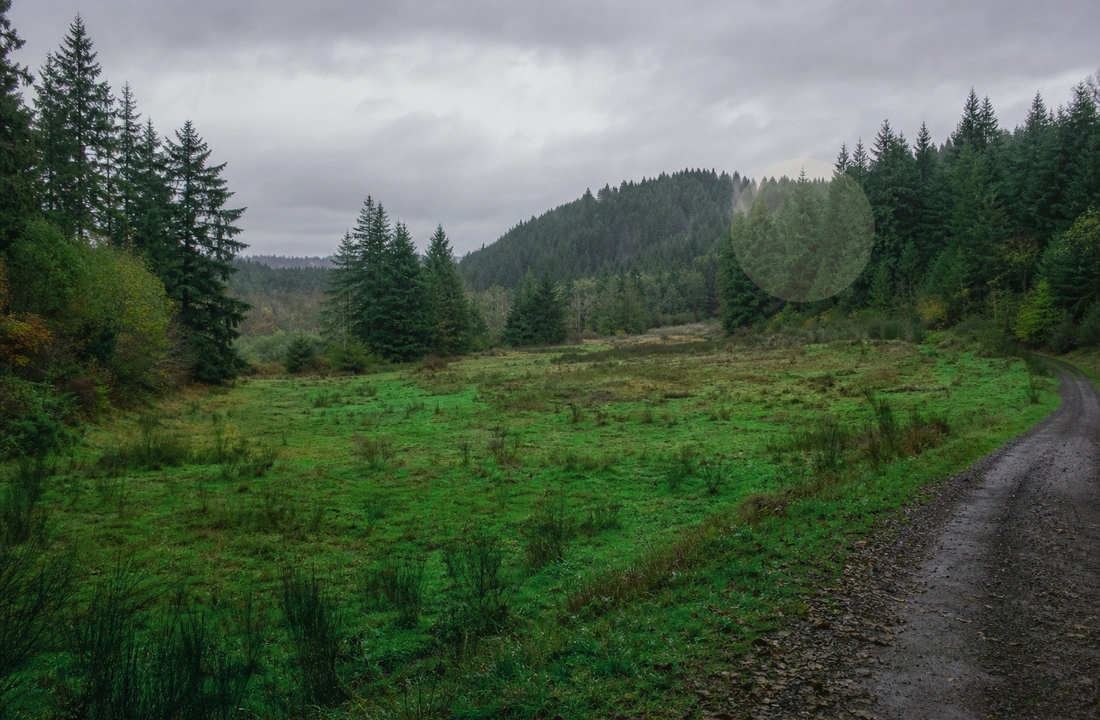 Washington land sale options and buyer review for Legal Documents for Selling Land in Washington