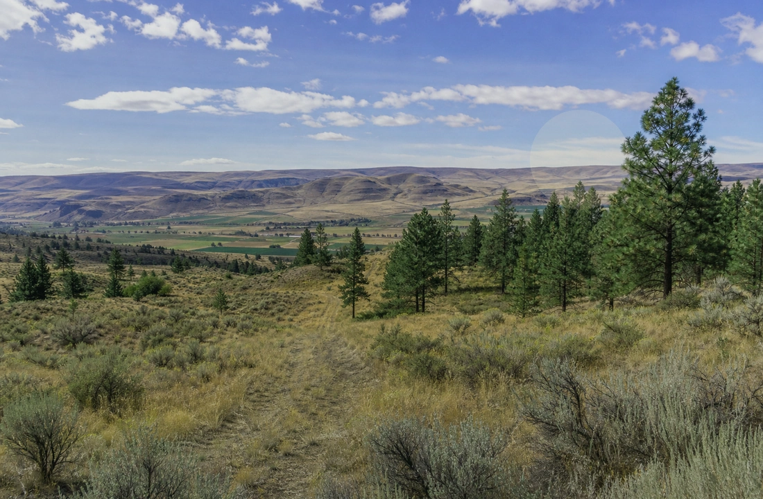 Washington land records and parcel facts for Selling Land to a Developer in Washington