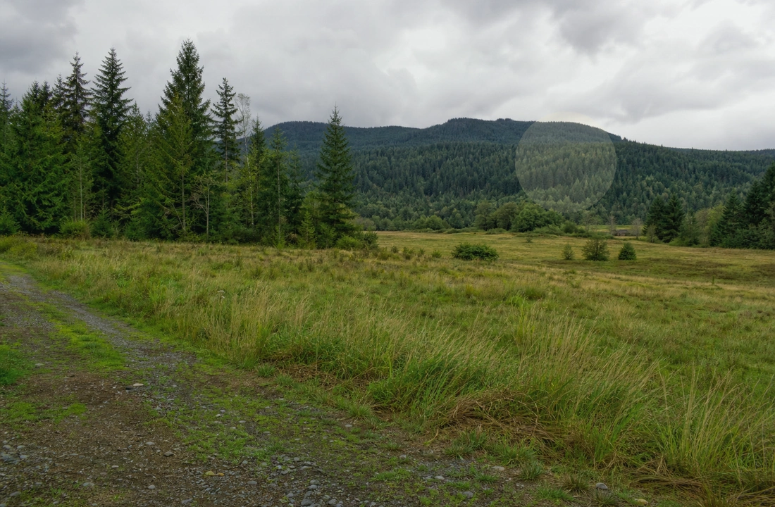Washington land sale options and buyer review for Tax on Selling Land in Washington