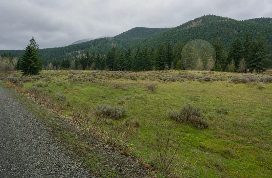 Washington land records and parcel facts for Cash Buyers for Washington Land: How to Compare Direct Offers