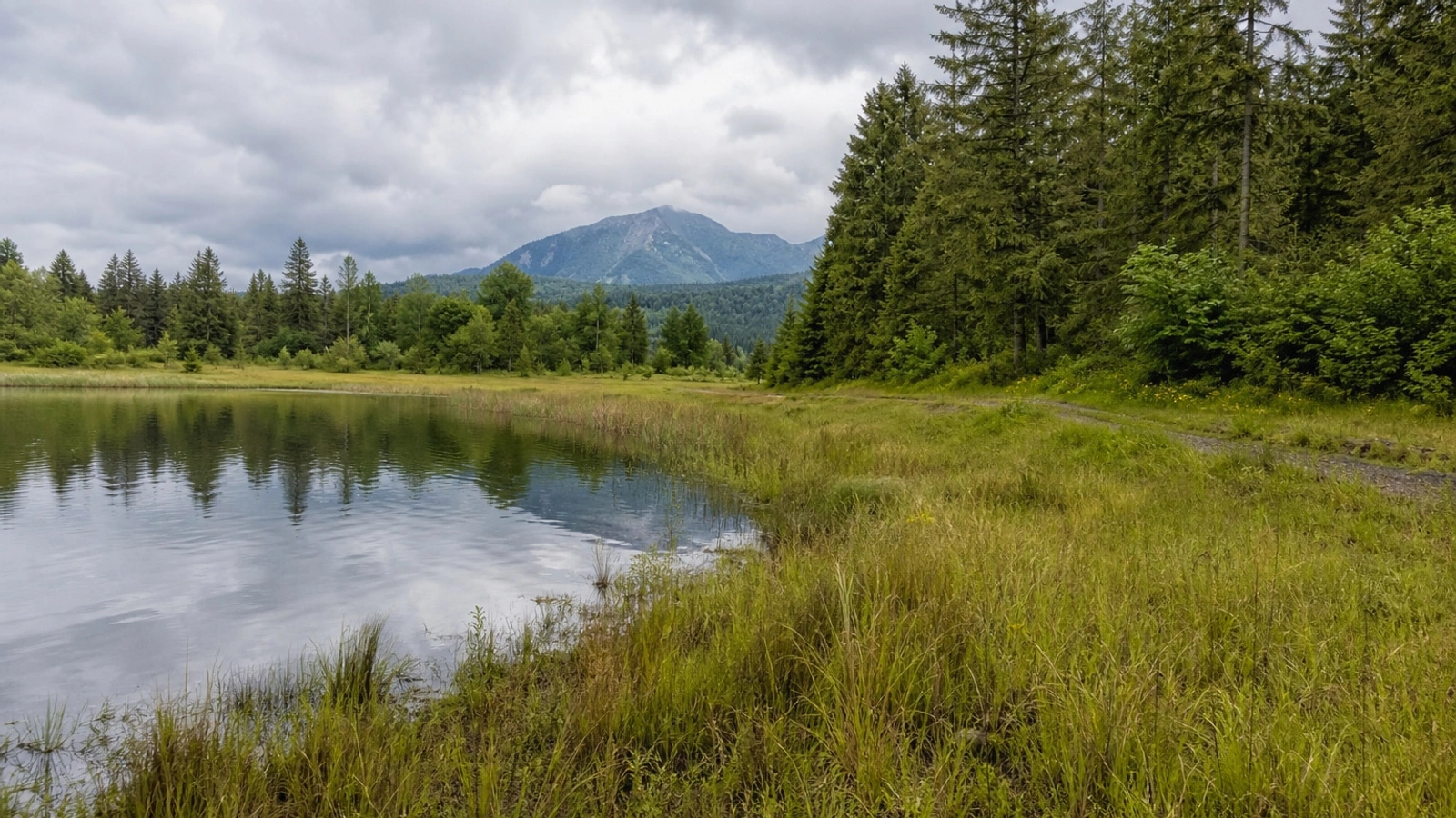 Open Washington land access road near Everett