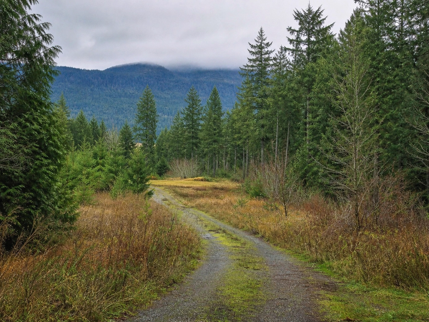 Rural Access Parcels in Everett